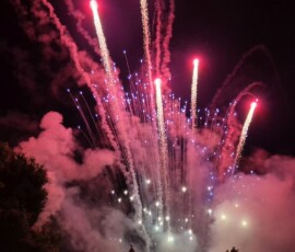 Colorful fireworks explode above the trees at night, with pink and blue trails and smoky clouds.