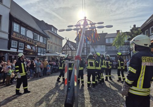 maibaum